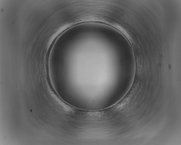 X0000073871142200608171001