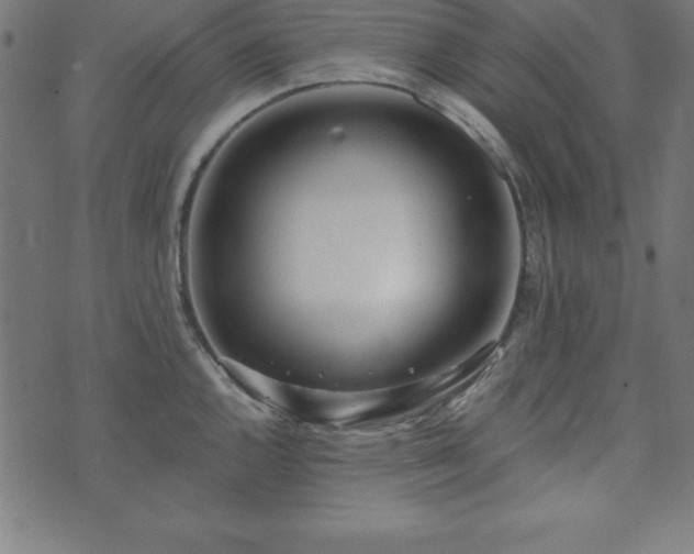 X0000073871144200608171001