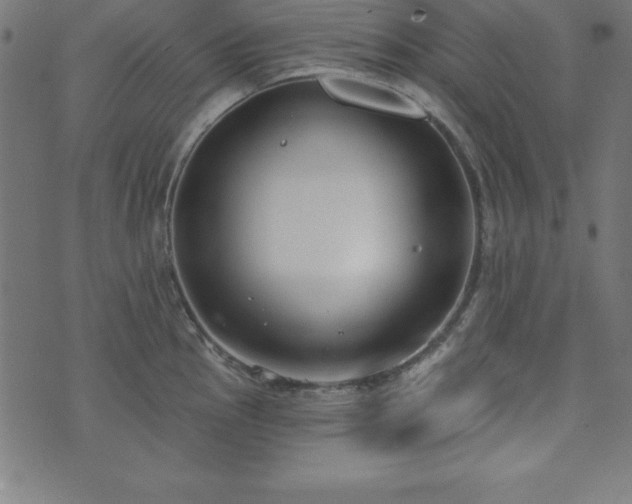 X0000073871145200608171001