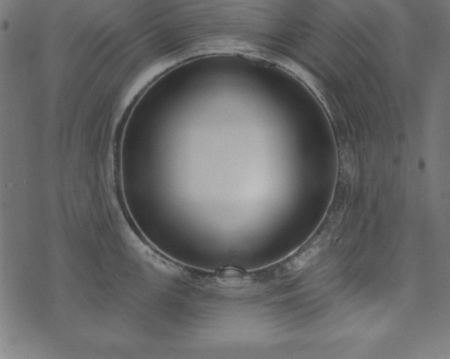 X0000073871147200608171001