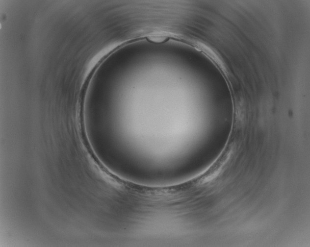 X0000073871149200608171001