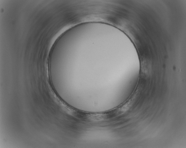 X0000073871150200608171001