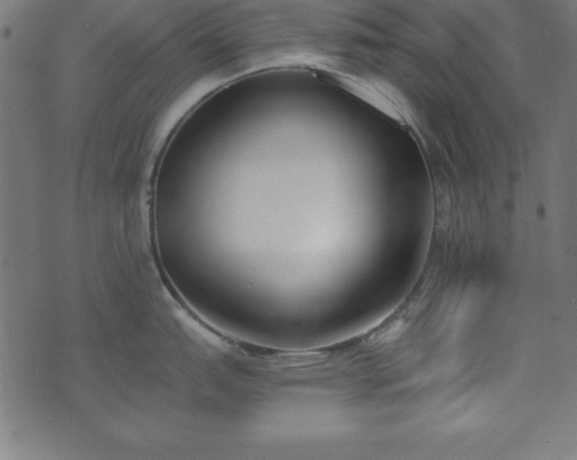 X0000073871151200608171001