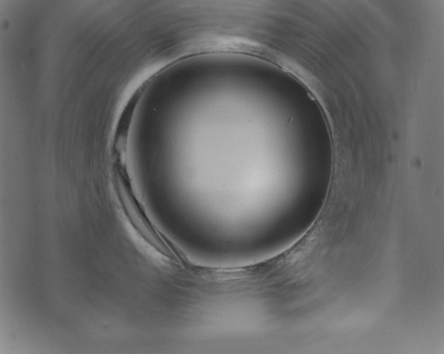 X0000073871152200608171001