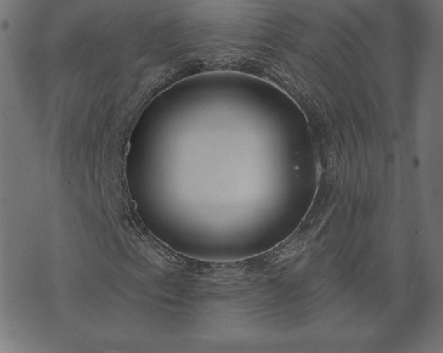 X0000073871153200608171000