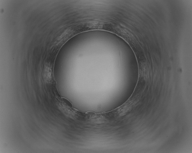 X0000073871154200608171000