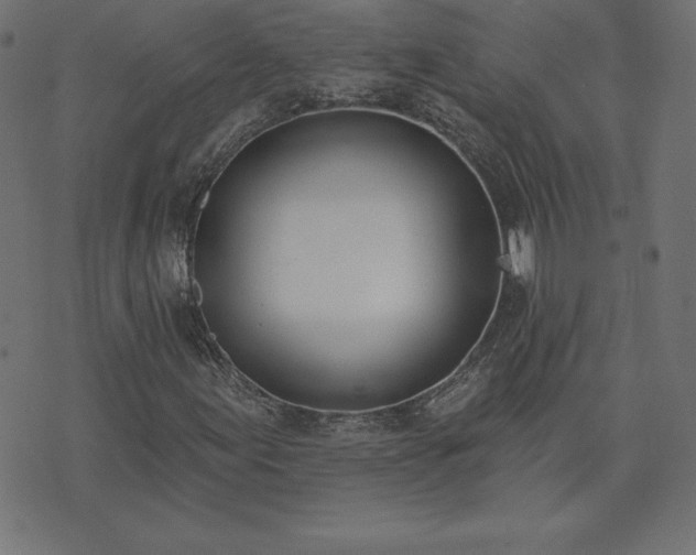 X0000073871155200608171000