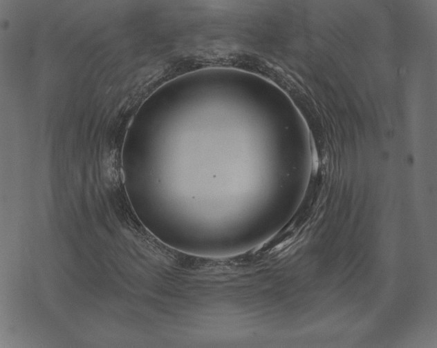 X0000073871156200608171000