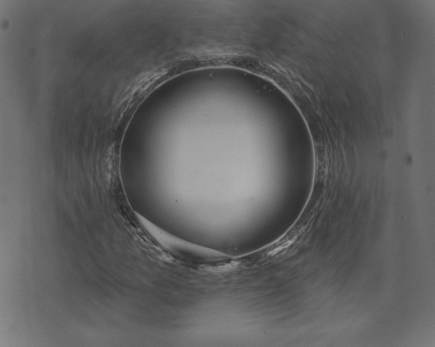 X0000073871157200608171000