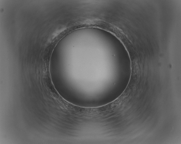 X0000073871158200608171000