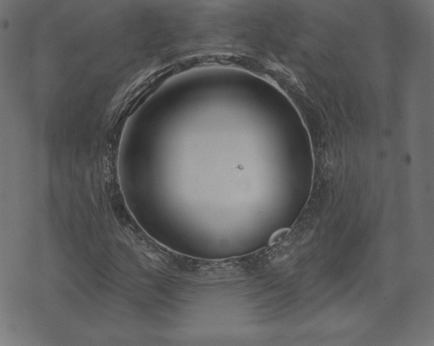 X0000073871159200608171000