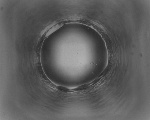 X0000073871160200608171000