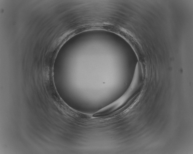 X0000073871161200608171000