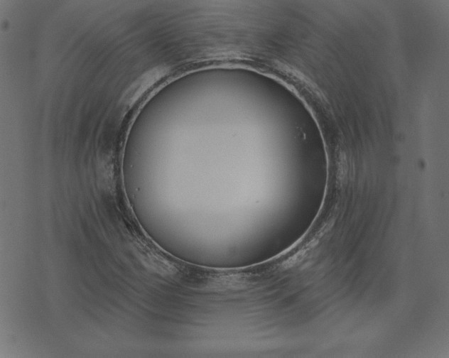 X0000073871162200608171000