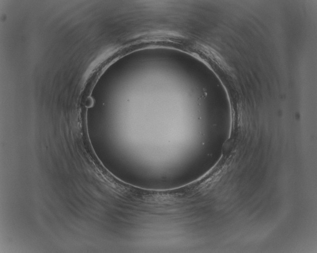 X0000073871164200608171000