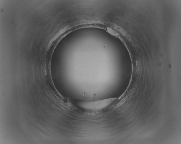 X0000073871165200608171000