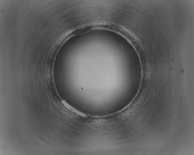 X0000073871169200608171000