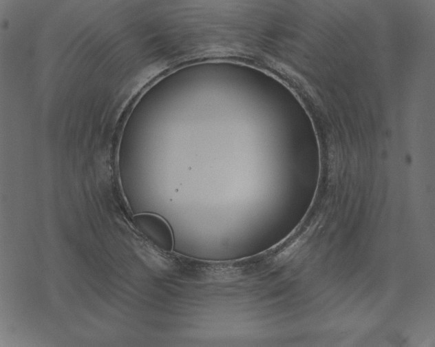 X0000073871170200608171000