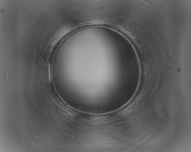 X0000073871171200608171000