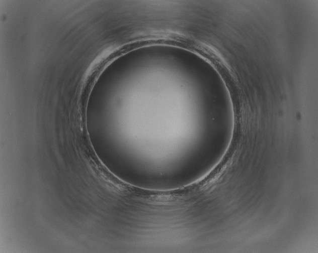 X0000073871172200608171000