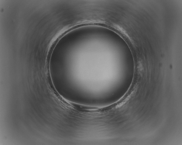 X0000073871173200608171000