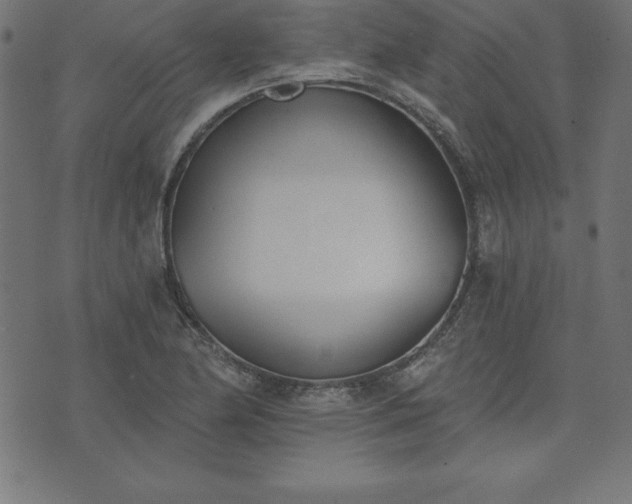 X0000073871174200608171000