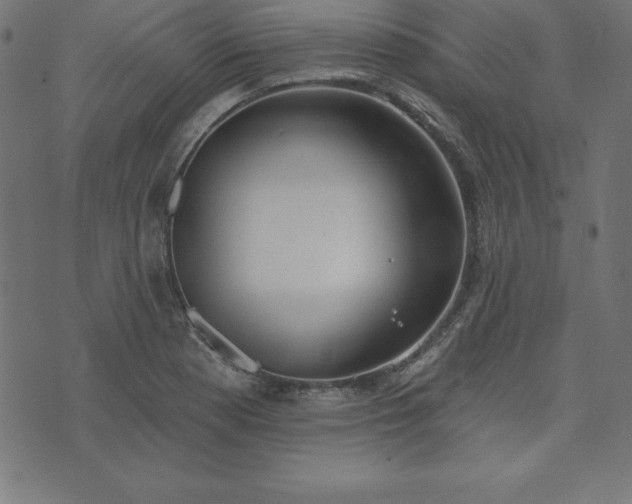 X0000073871177200608171000