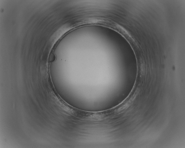 X0000073871178200608171000