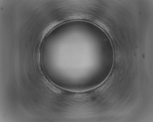 X0000073871179200608171000