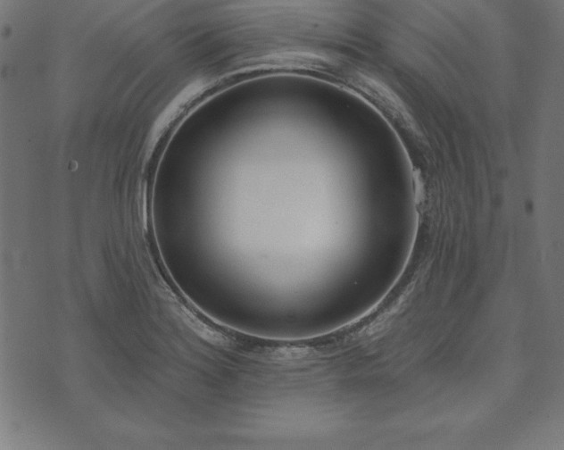 X0000073871180200608171000