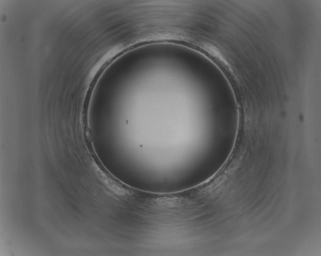 X0000073871181200608171000