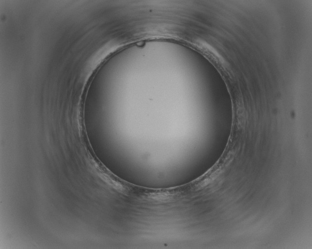 X0000073871182200608171000