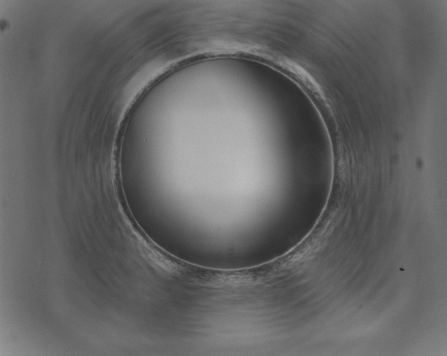 X0000073871183200608171000