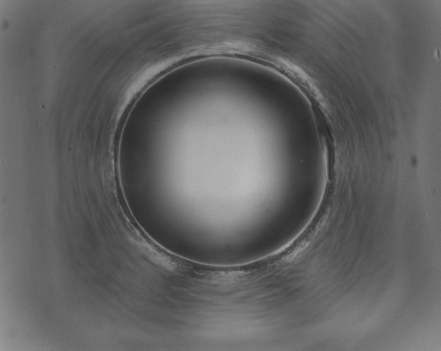 X0000073871184200608171000