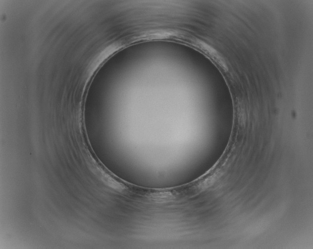 X0000073871186200608171000