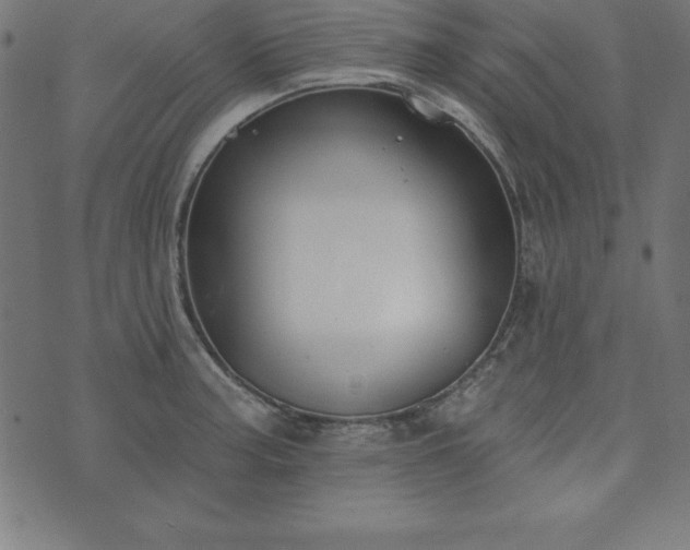 X0000073871187200608171000