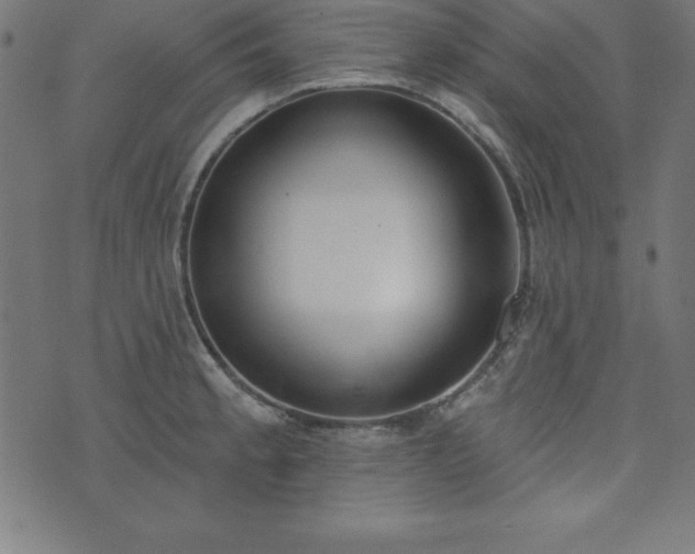 X0000073871189200608171000