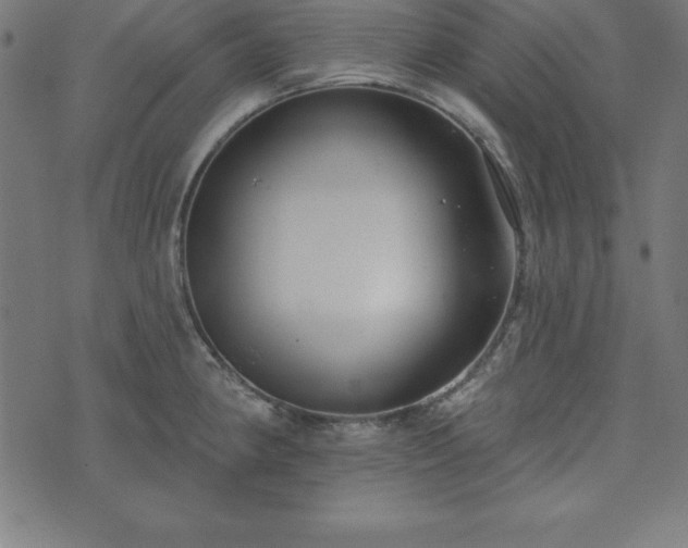 X0000073871190200608171000