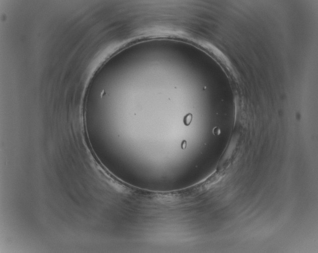 X0000073871191200608170959