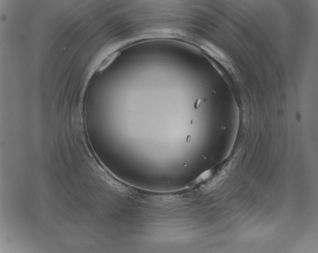 X0000073871192200608170959