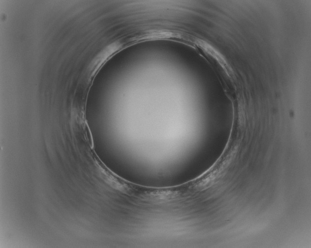 X0000073871193200608170959