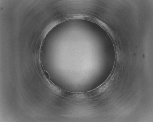 X0000073871194200608170959