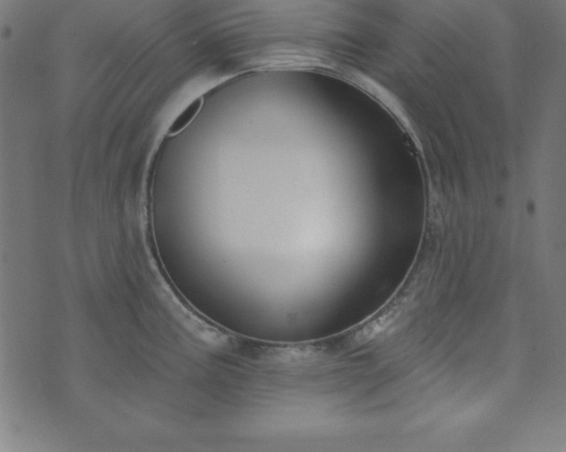 X0000073871195200608170959