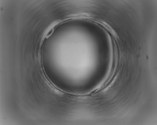 X0000073871196200608170959