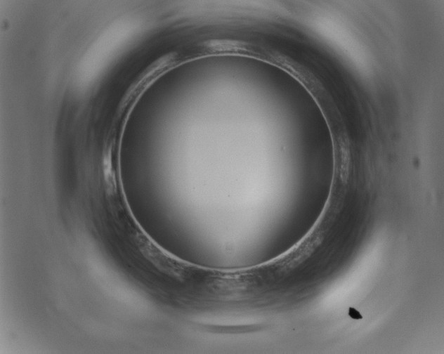 X0000073871198200608170959