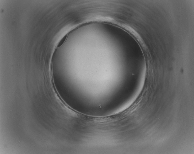 X0000073871199200608170959