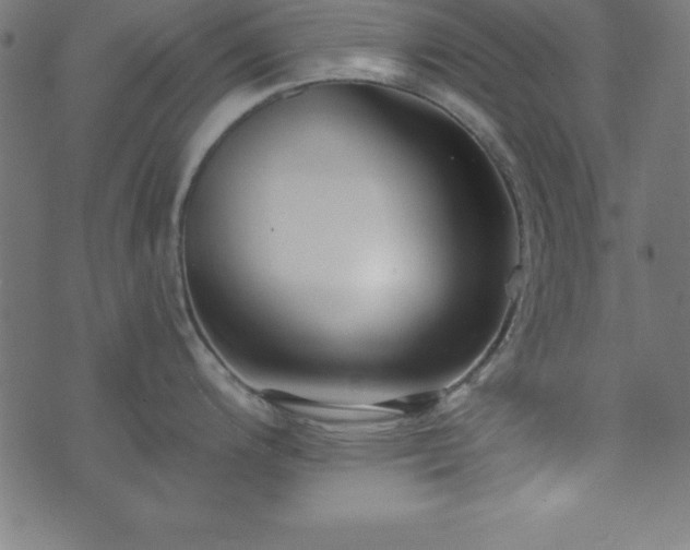 X0000073871200200608170959