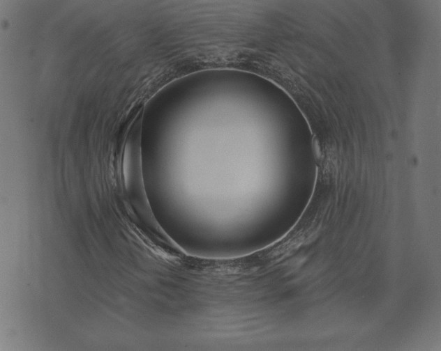 X0000073871202200608170959