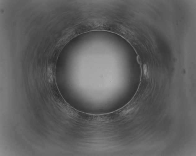 X0000073871203200608170959