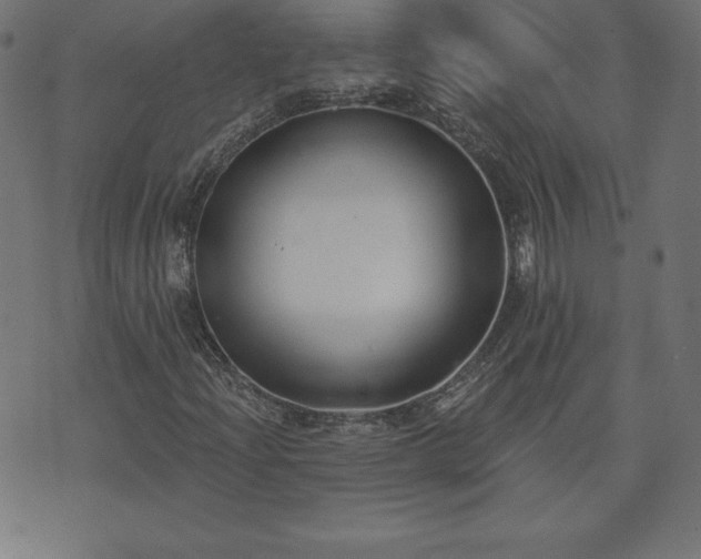 X0000073871204200608170959